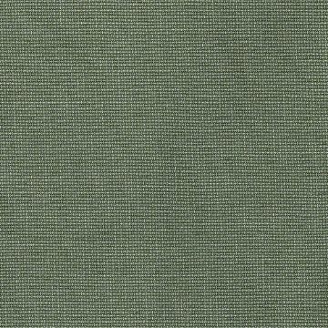 Sunbrella Bliss Aloe outdoor fabric for patio furniture cushions and outdoor pillows