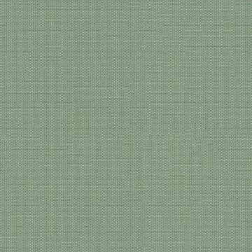 Picture of Canvas Celadon | Fabric Sample - Sunbrella©