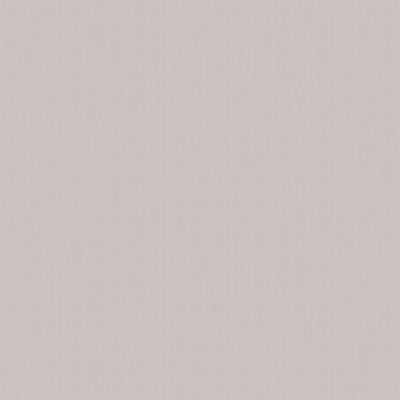 Picture of Canvas Silver Gray | Fabric Sample - Sunbrella©