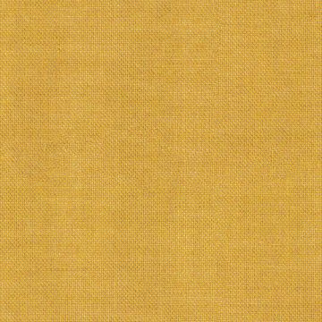 Picture of Natte Sunlight | Fabric Sample - Sunbrella©
