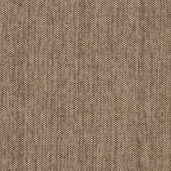Picture of Proof Fossil | Fabric Sample - Sunbrella©