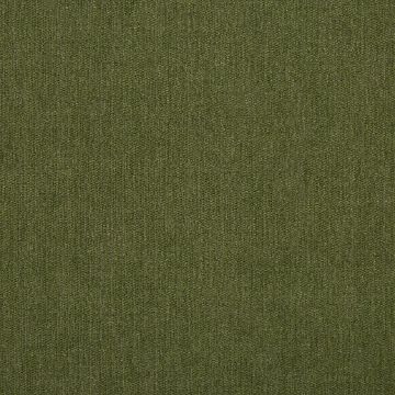Picture of Ritsy Aloe | Fabric Sample - Sunbrella©