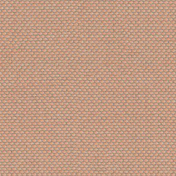Picture of Wadi Shrimp | Fabric Sample - Sunbrella©