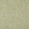 Picture of Leaf Structure Aloe | Sunbrella® 19.5" x 18" Outdoor Dining Cushion