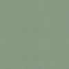 Picture of Canvas Celadon | Sunbrella® 19.5" x 18.5" Outdoor Dining Cushion