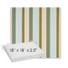 Picture of Gateway Aloe | Sunbrella® 18" x 18" x 2.5" Outdoor Dining Cushion