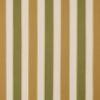Picture of Varsity Pesto Parmesan | Fabric Sample - Sunbrella©
